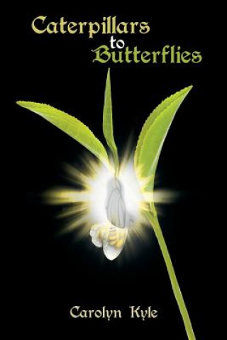 Buch Caterpillars to Butterflies CAROLYN KYLE