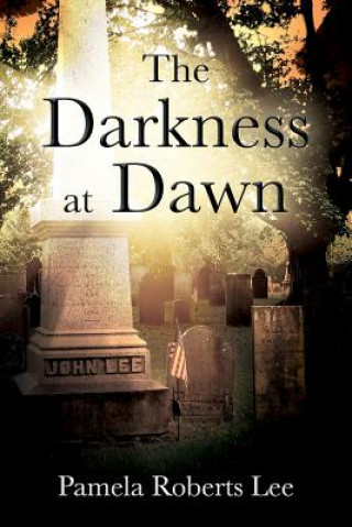 Kniha Darkness at Dawn PAMELA ROBERTS LEE