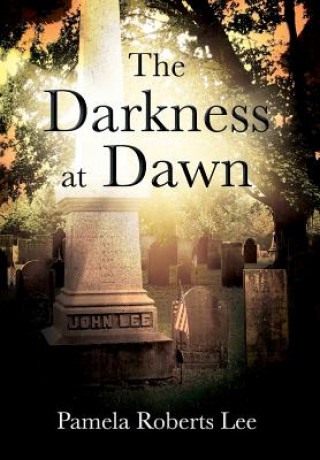 Kniha Darkness at Dawn PAMELA ROBERTS LEE