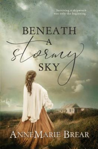 Buch Beneath a Stormy Sky ANNEMARIE BREAR