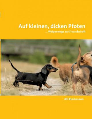 Könyv Auf kleinen, dicken Pfoten Ulli Reichmann