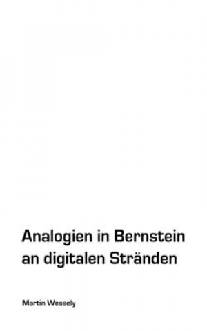 Kniha Analogien in Bernstein an digitalen Stranden Martin Wessely