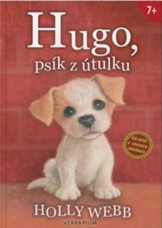 Könyv Hugo, psík z útulku Holly Webb