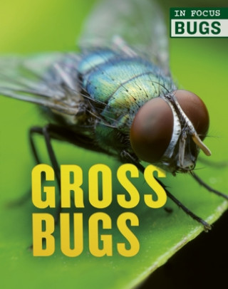 Book Gross Bugs Camilla De La Bedoyere