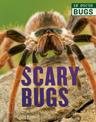 Buch Scary Bugs Camilla De La Bedoyere