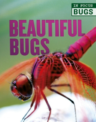 Carte Beautiful Bugs Camilla De La Bedoyere
