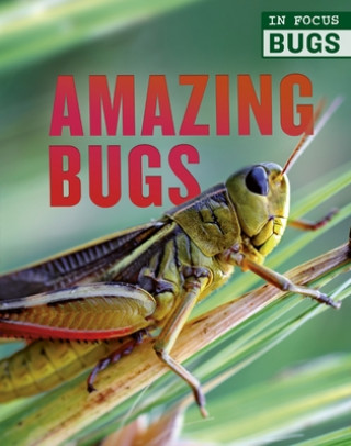 Buch Amazing Bugs Camilla De La Bedoyere