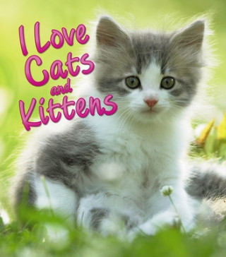 Kniha I Love Cats and Kittens David Alderton