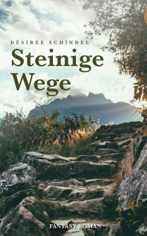 Knjiga Steinige Wege Désirée Schindel
