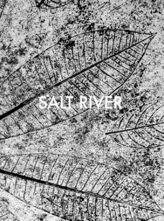 Knjiga Sebastian Posingis: Salt River Sebastian Posingis