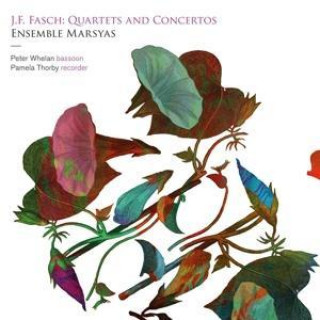 Audio Quartette & Concertos Whelan/Thorby/Ensemble Marsyas