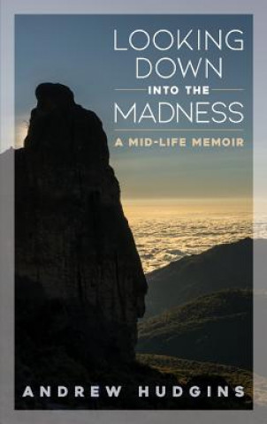 Kniha Looking Down Into the Madness: A Midlife Memoir Andrew Hudgins