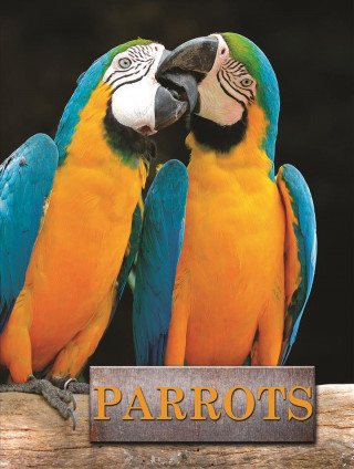 Könyv Parrots Ben Sonder