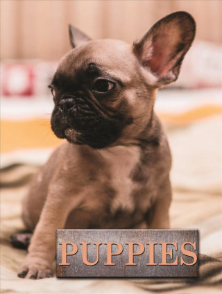 Kniha Puppies Marcus Schneck