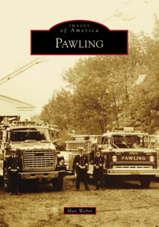 Libro Pawling Max Weber