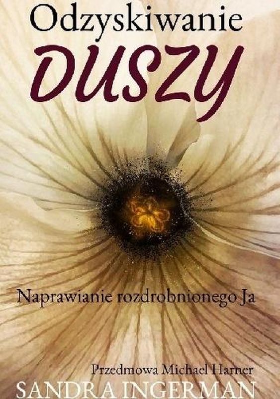 Książka Odzyskiwanie duszy Ingerman Sandra