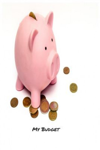 Knjiga My Budget: Your Ultimate Budgeting Tool Money Publishing