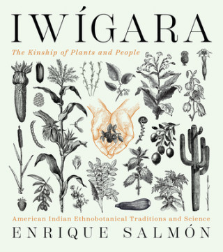 Könyv Iwigara: American Indian Ethnobotanical Traditions and Science Enrique Salmon