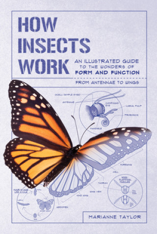 Kniha How Insects Work: An Illustrated Guide to the Wonders of Form and Function--From Antennae to Wings Ross Bayton