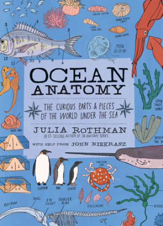 Carte Ocean Anatomy: The Curious Parts & Pieces of the World Under the Sea Julia Rothman