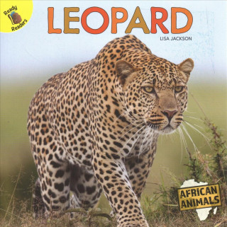 Buch Leopard Lisa Jackson