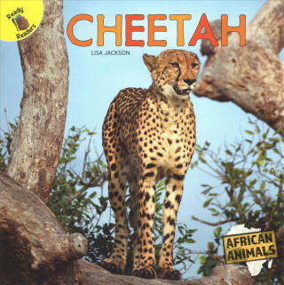 Libro Cheetah Lisa Jackson