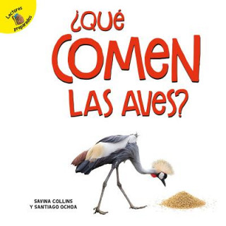 Kniha ?Qué Comen Las Aves?: What Do Birds Eat? Santiago Ochoa