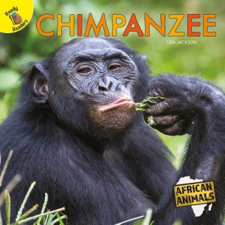 Kniha Chimpanzee Lisa Jackson
