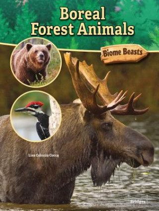 Carte Boreal Forest Animals Lisa Colozza Cocca