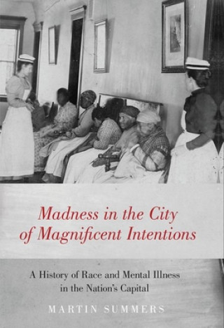 Libro Madness in the City of Magnificent Intentions Summers