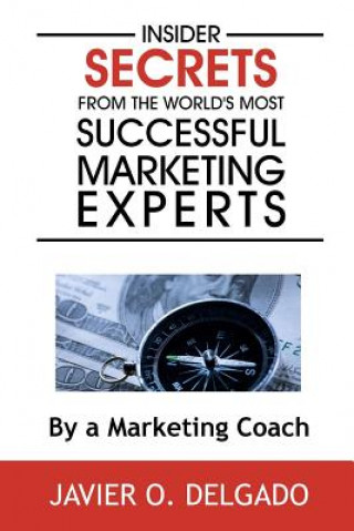 Kniha Insider Secrets From The World's Most Successful Marketing Experts Javier O. Delgado