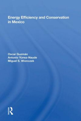 Buch Energy Efficiency And Conservation In Mexico GUZMAN