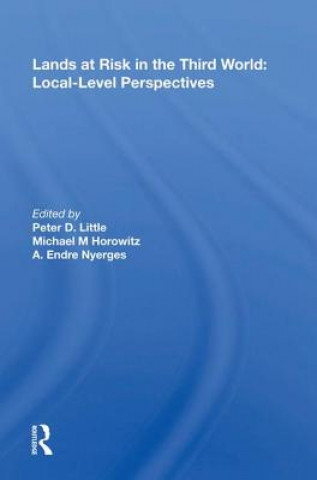 Kniha Lands at Risk in the Third World: Local-Level Perspectives LITTLE