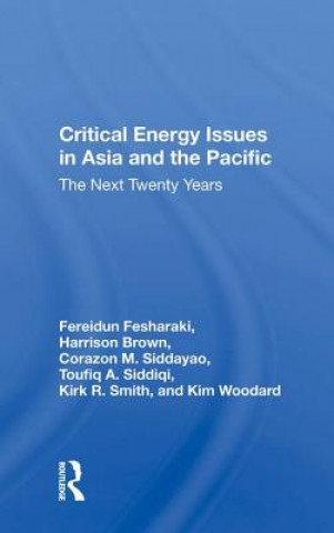 Kniha Critical Energy Issues In Asia And The Pacific Toufiq A. Siddiqi