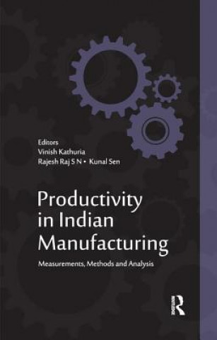 Livre Productivity in Indian Manufacturing 