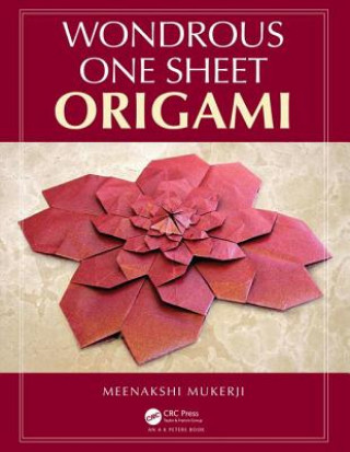 Book Wondrous One Sheet Origami Meenakshi Mukerji