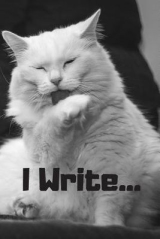 Knjiga I Write Krishna Ruffin