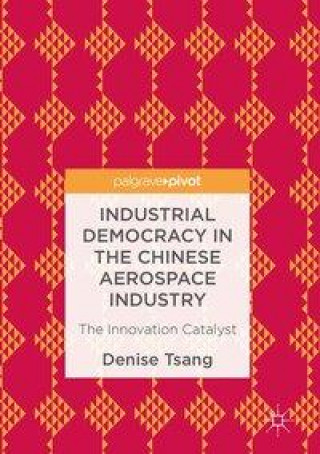 Kniha Industrial Democracy in the Chinese Aerospace Industry Denise Tsang