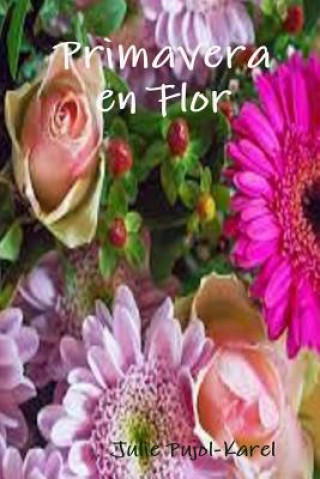 Buch Primavera en flor Julie Pujol-Karel