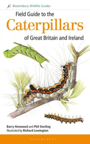 Книга Field Guide to the Caterpillars of Great Britain and Ireland Phil Sterling