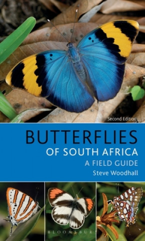 Kniha Field Guide to Butterflies of South Africa Steve Woodhall