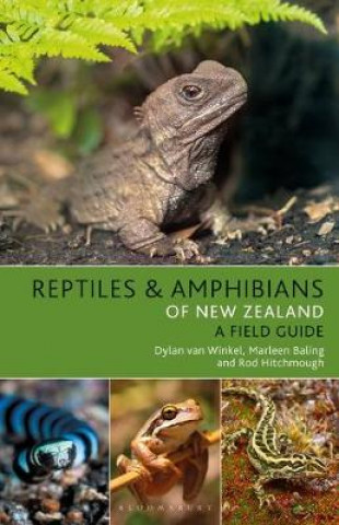 Kniha Reptiles and Amphibians of New Zealand Dylan van Winkel
