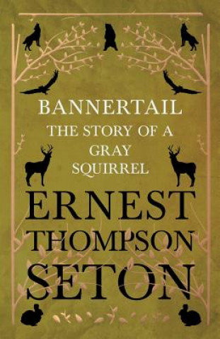 Kniha Bannertail - The Story of a Gray Squirrel Ernest Thompson Seton