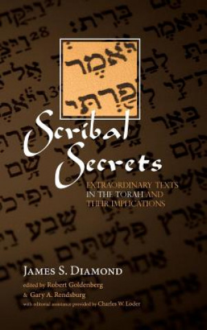 Boek Scribal Secrets Diamond James S. Diamond
