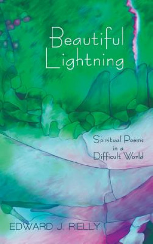 Knjiga Beautiful Lightning Rielly Edward J. Rielly