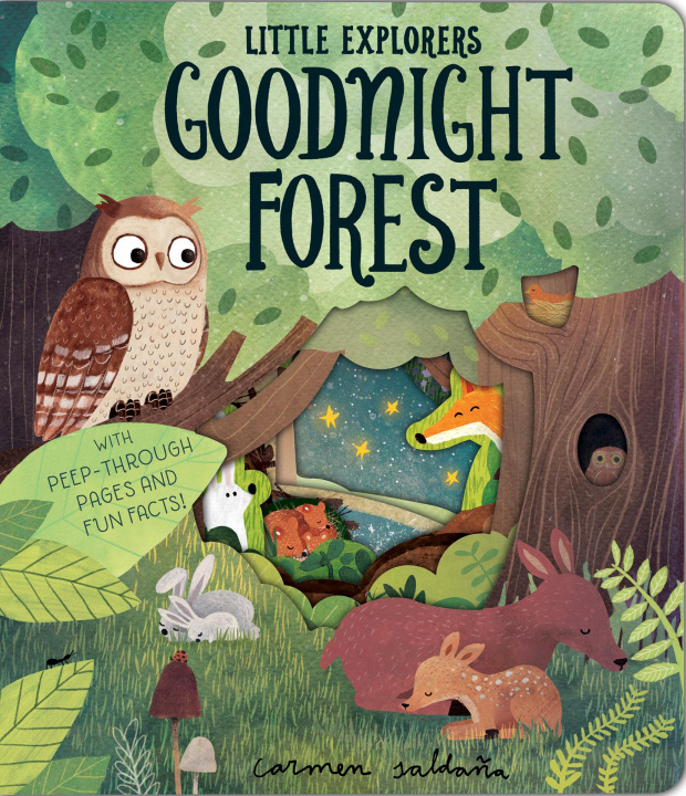 Książka Goodnight Forest Becky Davies