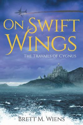 Buch On Swift Wings Wiens Brett M Wiens