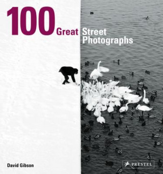 Βιβλίο 100 Great Street Photographs David Gibson