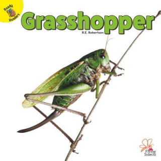 Knjiga Grasshopper R. E. Robertson