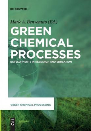 Buch Green Chemical Processes Mark Anthony Benvenuto